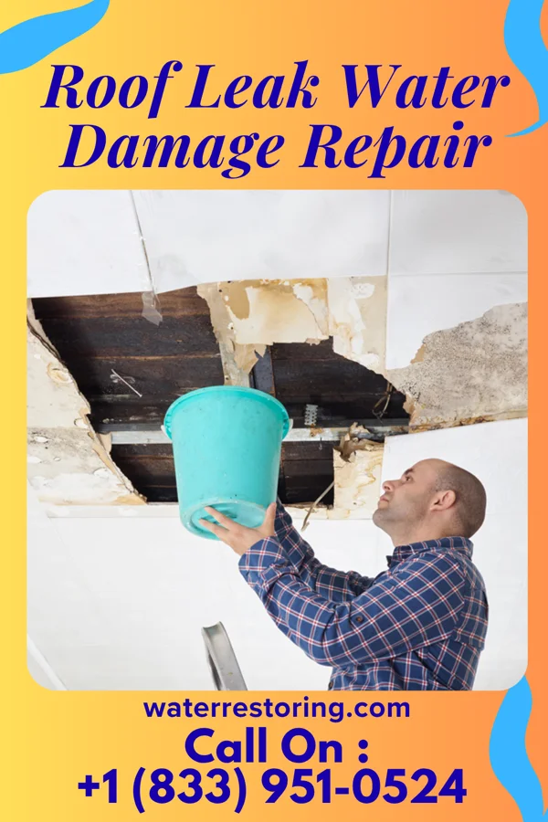 Roof Leak Water Damage Repair in Wakefield, PA