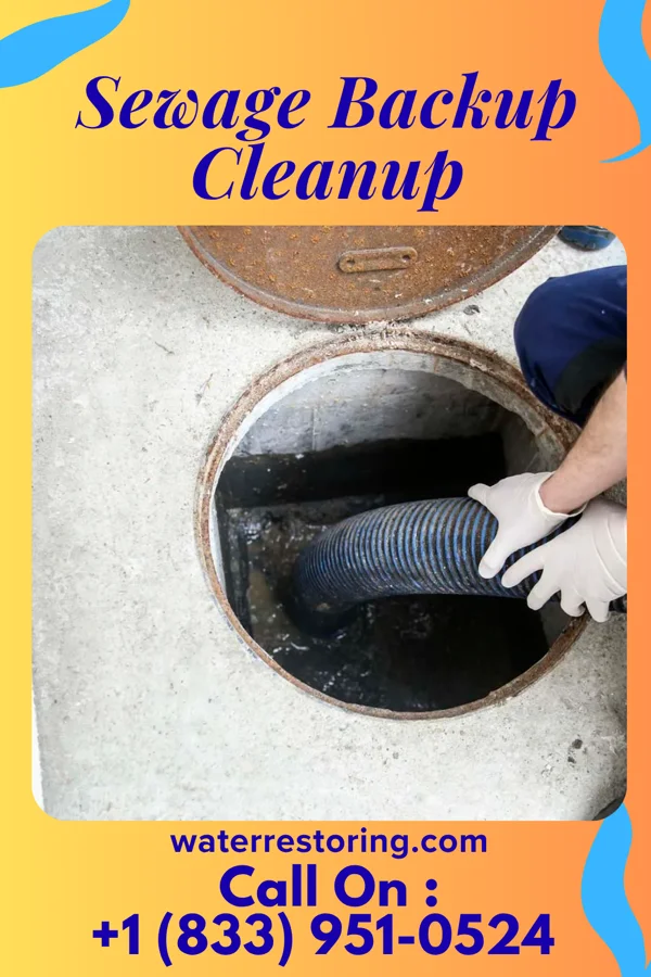Sewage Backup Cleanup in Wakefield, PA