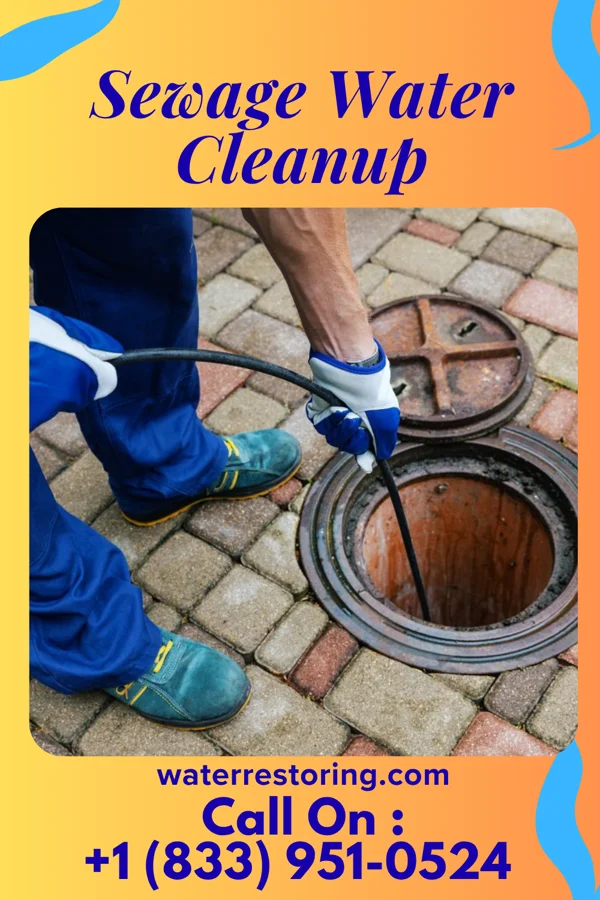 Sewage Water Cleanup in Wakefield, PA