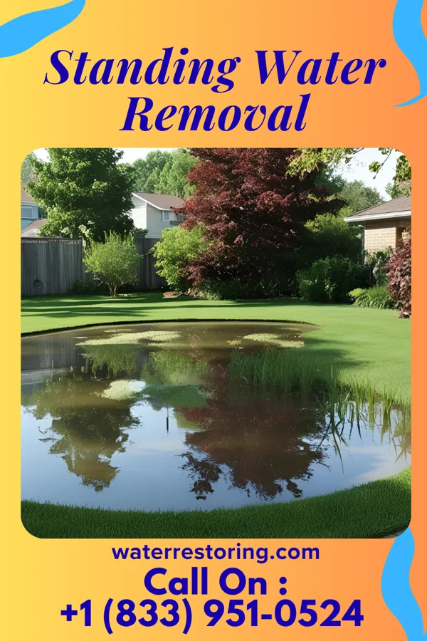 Standing Water Removal in Wakefield, PA